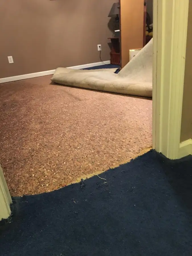Carpet pad removal revealing water damage during Water Mitigation Services in Sullivan