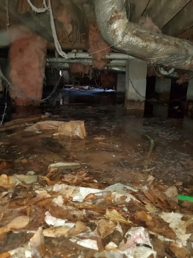 Crawl space flood assessment for Leak Detection & Repair in Sullivan