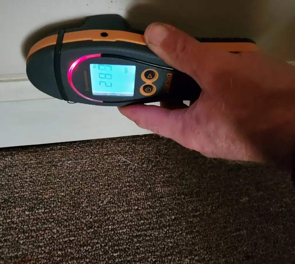 Moisture detection at baseboard during Sewage Cleanup & Sanitation in Sullivan